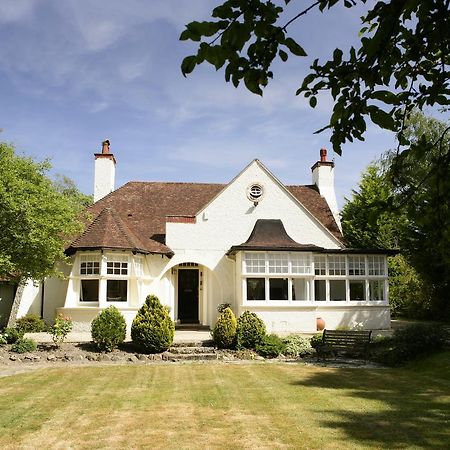 بروكينهورْسْتْ Daisybank Cottage Boutique Bed And Breakfast المظهر الخارجي الصورة