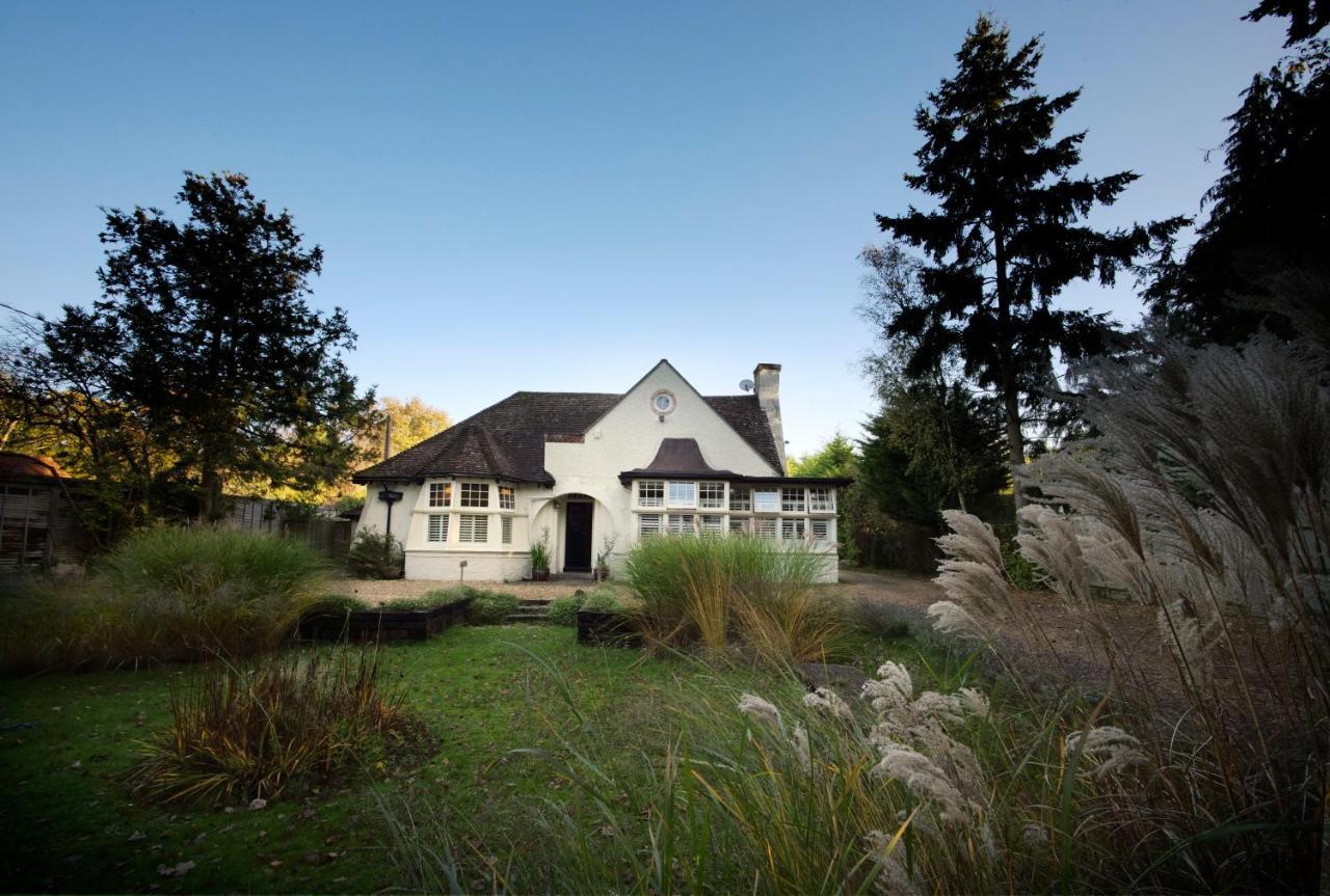 بروكينهورْسْتْ Daisybank Cottage Boutique Bed And Breakfast المظهر الخارجي الصورة