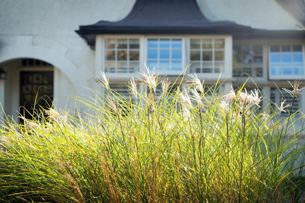بروكينهورْسْتْ Daisybank Cottage Boutique Bed And Breakfast المظهر الخارجي الصورة